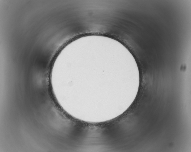 X0000112110632200908111443