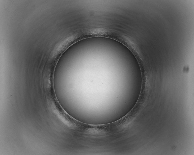 X0000112110633200908111443