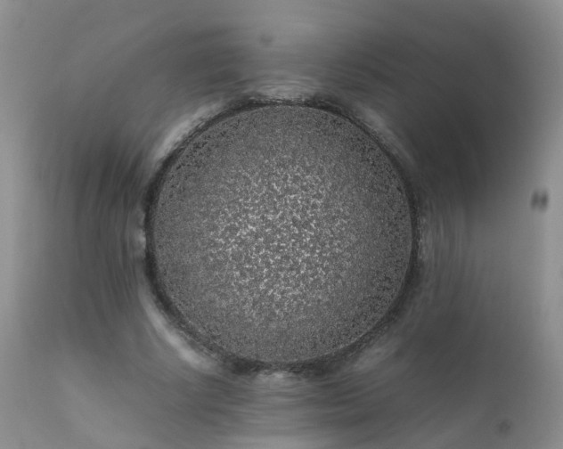 X0000112110634200908111443