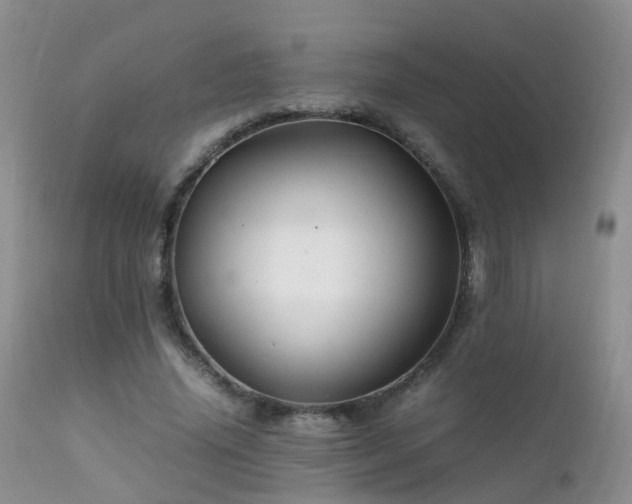 X0000112110636200908111443