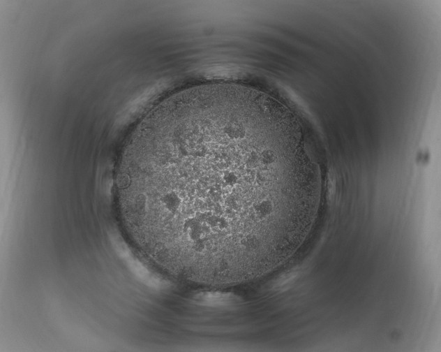 X0000112110637200908111443