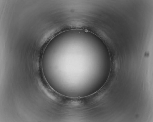 X0000112110638200908111443