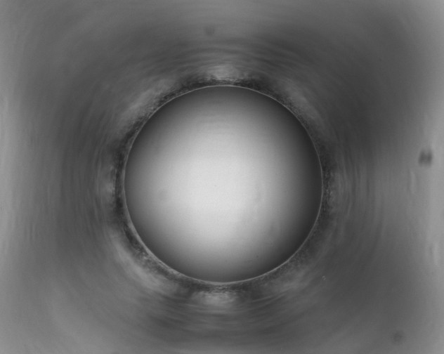 X0000112110639200908111443