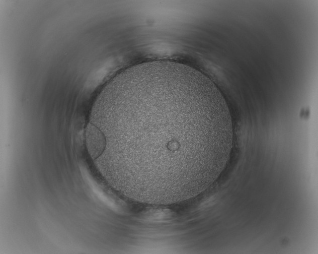 X0000112110642200908111443