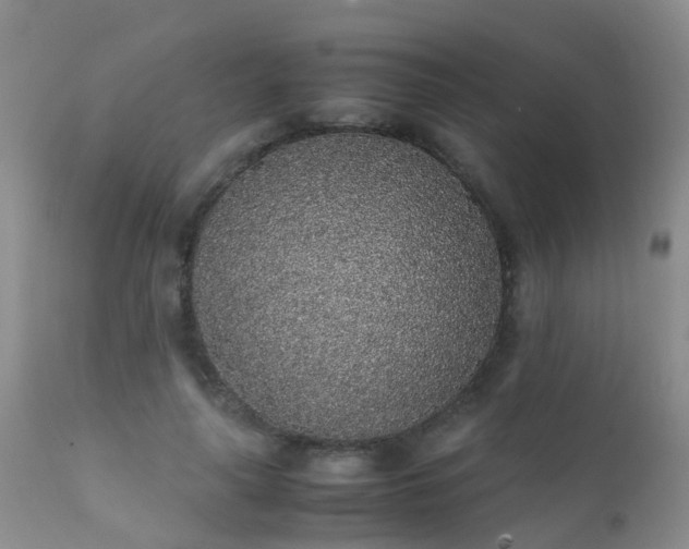 X0000112110643200908111443