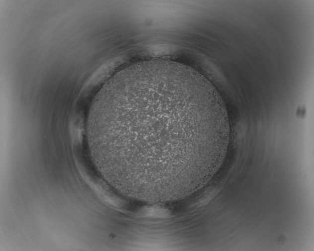 X0000112110644200908111443