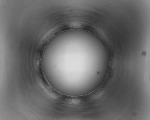 X0000112110645200908111443