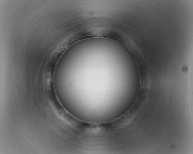 X0000112110646200908111443