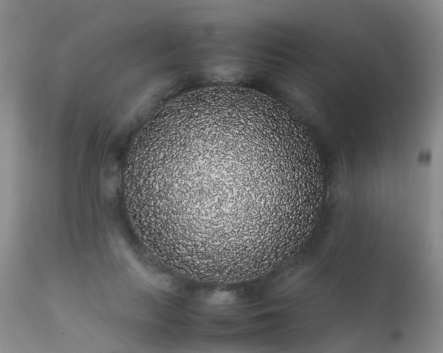 X0000112110647200908111443