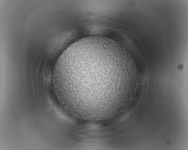 X0000112110648200908111443