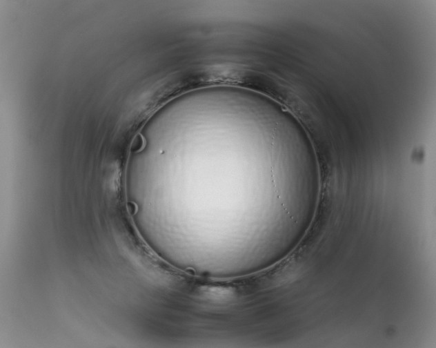 X0000112110649200908111443