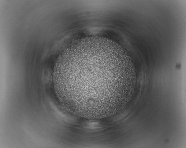 X0000112110651200908111443