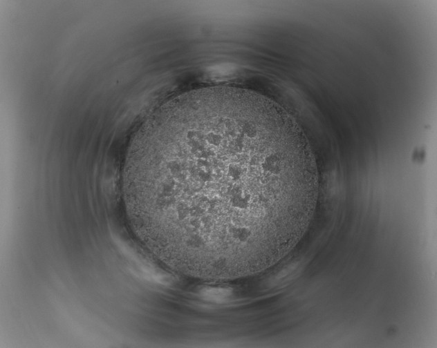 X0000112110653200908111443