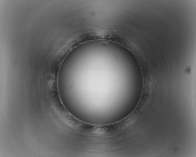 X0000112110656200908111443