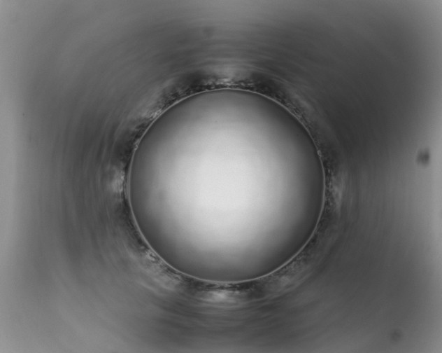 X0000112110657200908111443