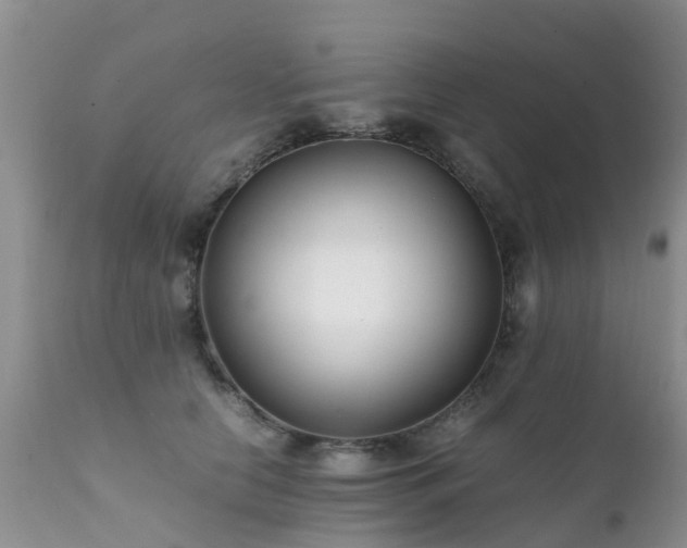 X0000112110658200908111443