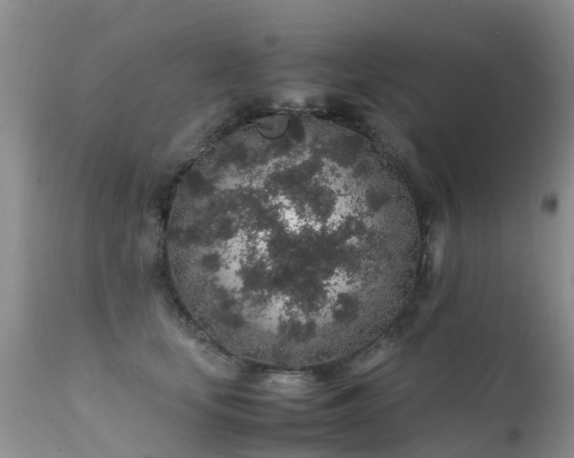 X0000112110659200908111443