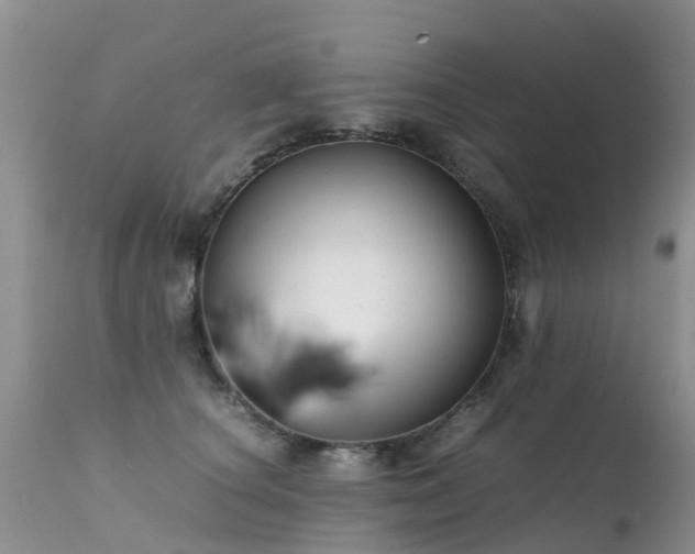 X0000112110660200908111443