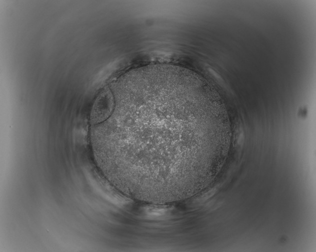 X0000112110661200908111443