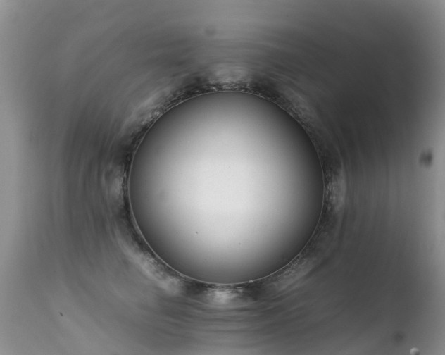 X0000112110662200908111443