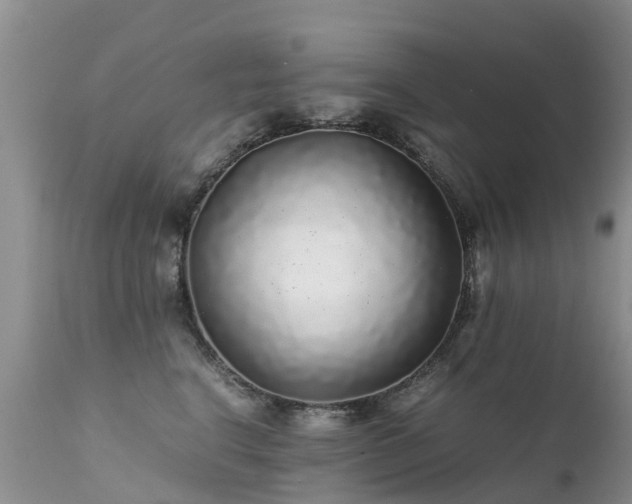 X0000112110664200908111444