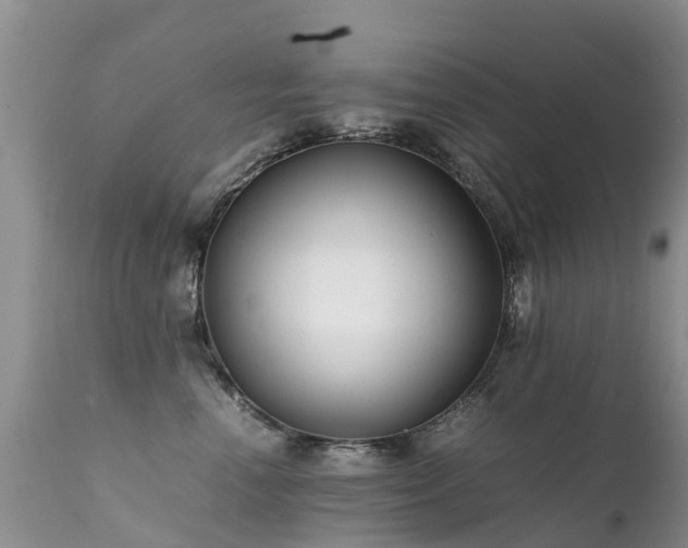 X0000112110666200908111444