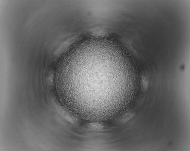 X0000112110668200908111444