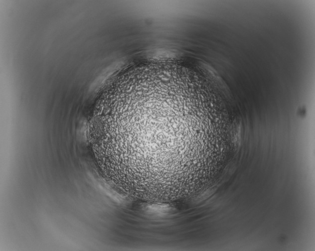 X0000112110669200908111444