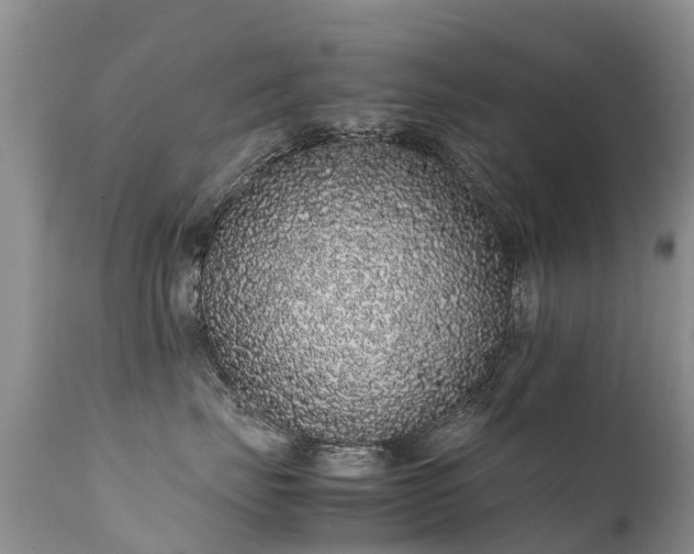 X0000112110671200908111444