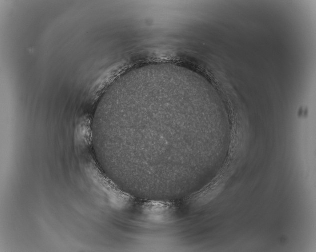 X0000112110672200908111444