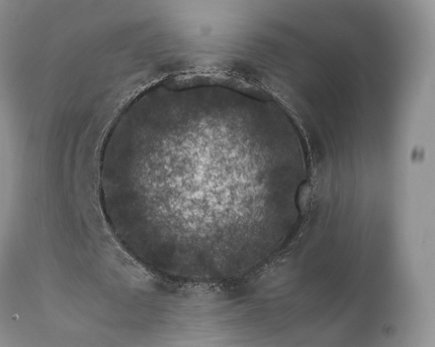 X0000112110673200908111443