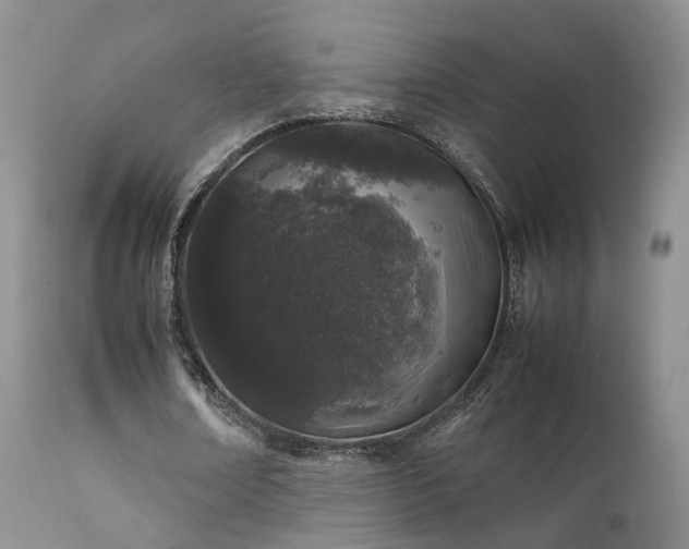 X0000112110674200908111443