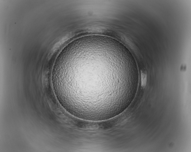 X0000112110675200908111443