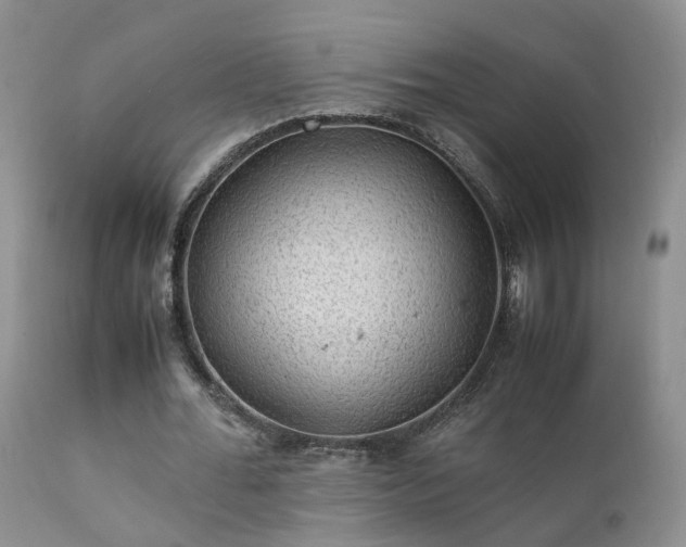 X0000112110676200908111443