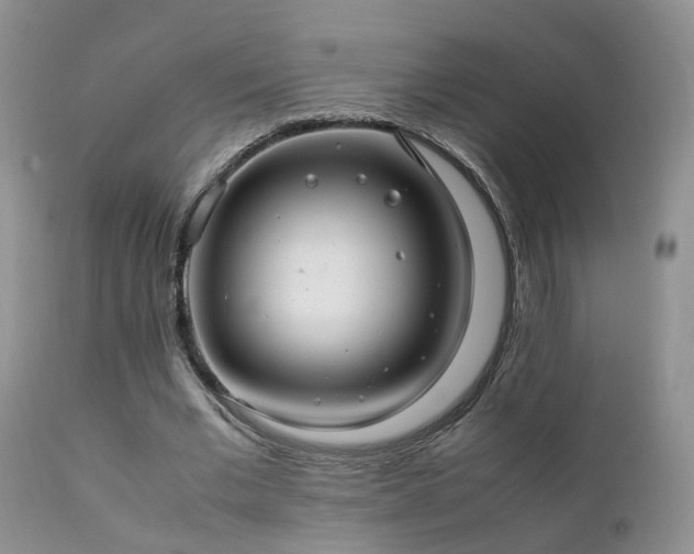 X0000112110677200908111443