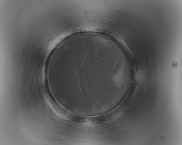 X0000112110678200908111443