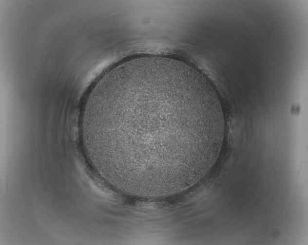 X0000112110679200908111443