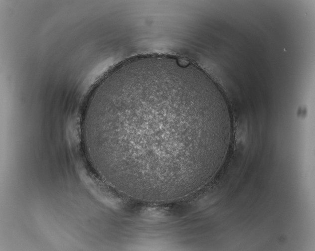 X0000112110680200908111443