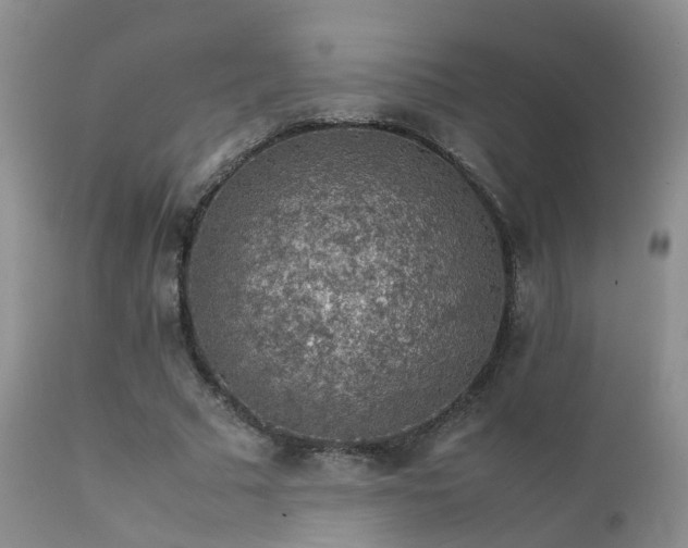 X0000112110681200908111443