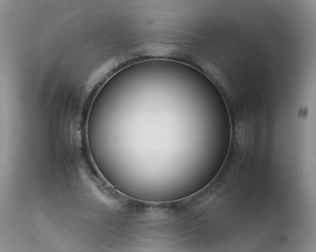 X0000112110682200908111443