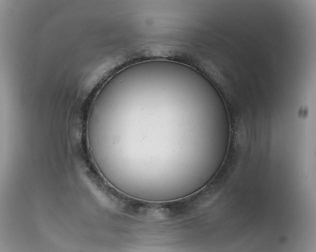 X0000112110683200908111443