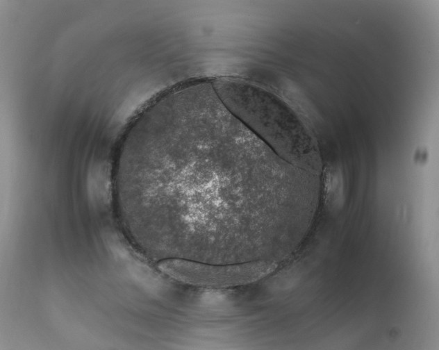 X0000112110684200908111443