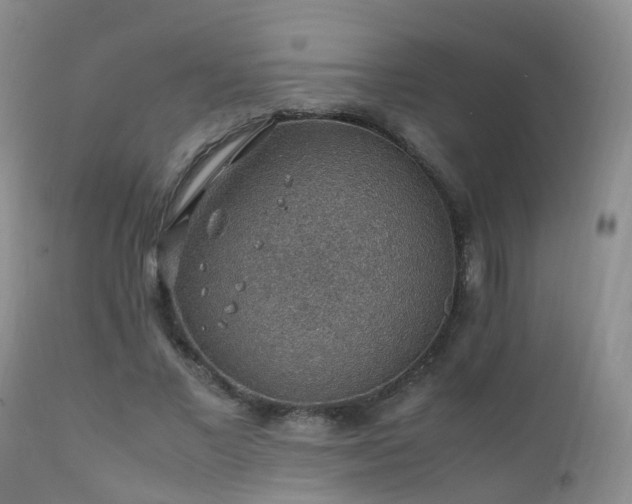 X0000112110685200908111443