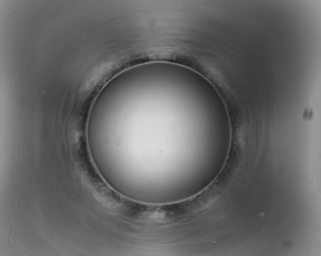 X0000112110687200908111443