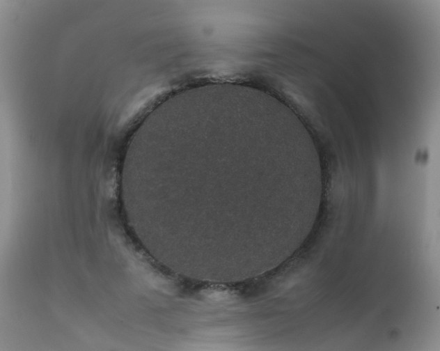 X0000112110689200908111443