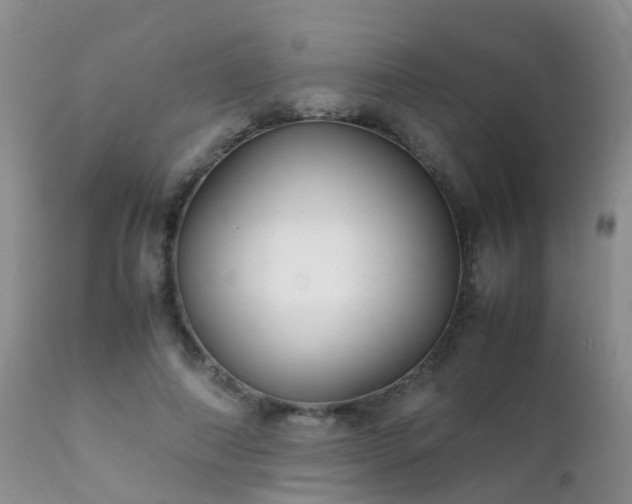 X0000112110690200908111443