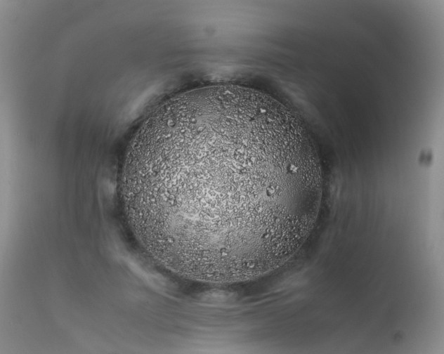 X0000112110691200908111443