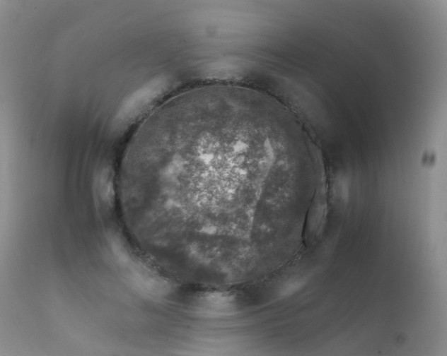 X0000112110692200908111443