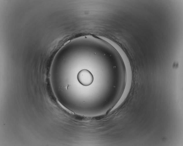 X0000112110693200908111443