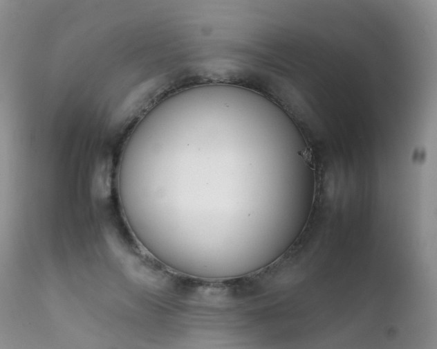 X0000112110694200908111443